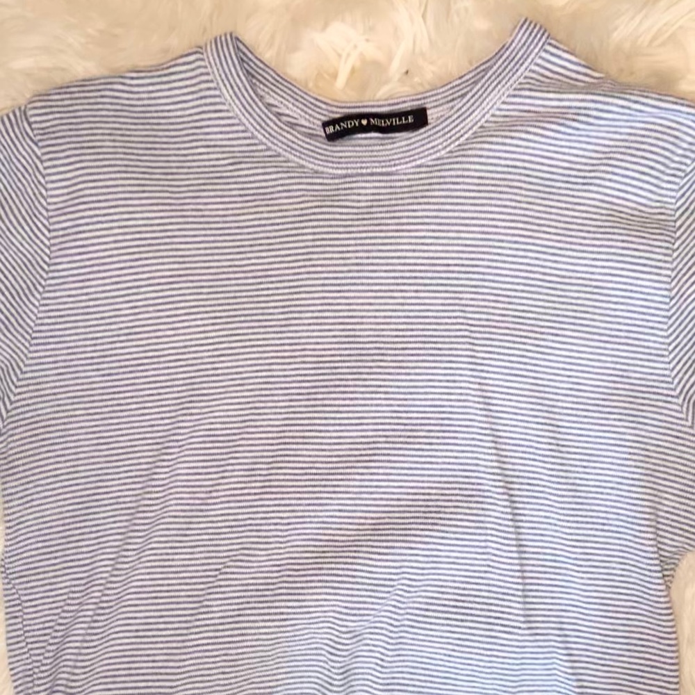 brandy melville crop top